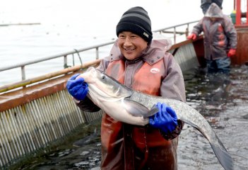 China Henan winter fishing