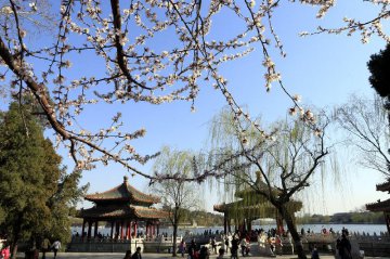 Chinas economic diplomacy showcases fresh style with new blueprint