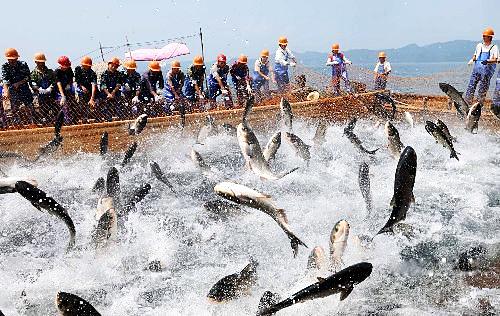 FISHERYì ëí ì´ë¯¸ì§ ê²ìê²°ê³¼