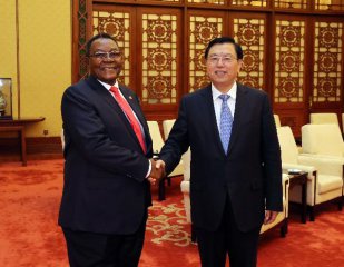 Chinas top legislator pledges stronger ties with Namibia