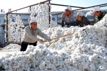 China delegates cotton processing capacity quota to provincial level