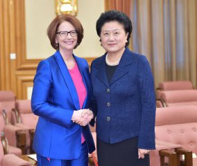 Chinese vice premier meets Australian former PM