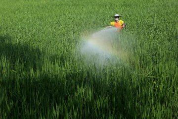 China to gradually drop use of highly toxic farm chemicals, official