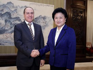 Chinese vice premier meets Israeli counterpart