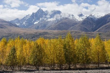 Urumqi legislates to protect wetland