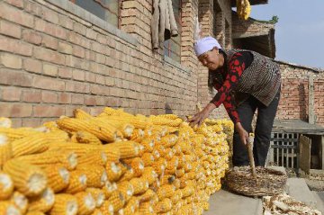 Chinas 2020 poverty alleviation goal attainable: Xi