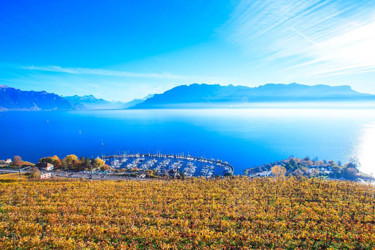 Lavaux Швейцария