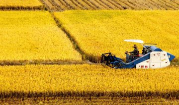 China supports social capital to participate in Agro-related e-biz