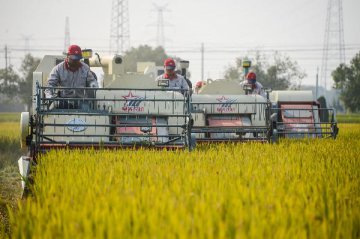 China plans internationally competitive agricultural firms