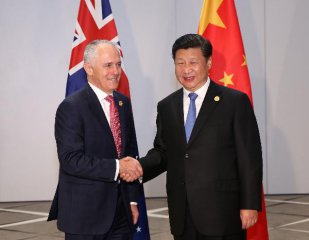 Australian farmers receive early Christmas present from China-Australia FTA