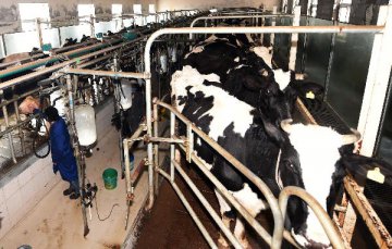 China 2016 dairy product market to see moderate recovery