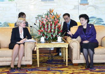 Chinese vice premier meets Russian deputy prime minister