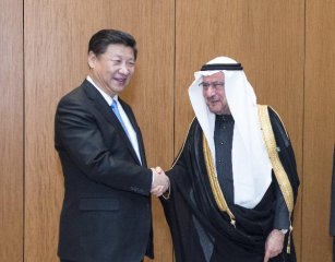 Chinas Xi discusses regional issue, cultural exchange with OIC chief