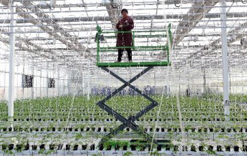China sets out plan for high-quality farmland