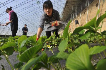 China to boost green agriculture