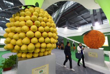 Chinas fruit exports to Russia in 2015 exceed USD100 mln