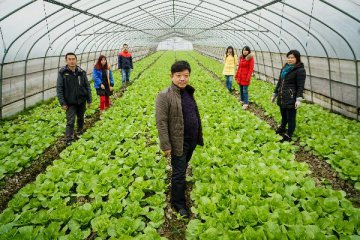 China policy bank lends more to agriculture in 2015