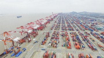 Chinas January foreign trade slumps, surplus widens