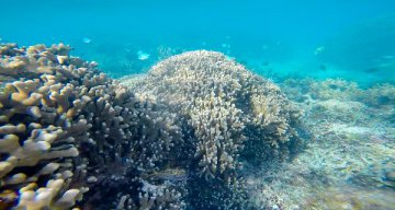 Draft law highlights peaceful use, sharing in deep seafloor exploration
