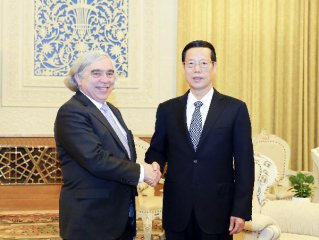 Chinese vice premier meets U.S. energy secretary