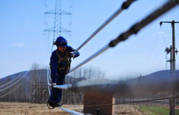 Chinese premier stresses renovation of rural electricity grid