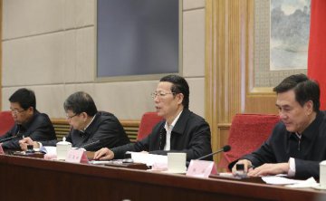 Chinese vice premier calls for better city planning