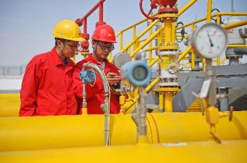 Oil gas reform scheme passed to State Council, supporting policy in process