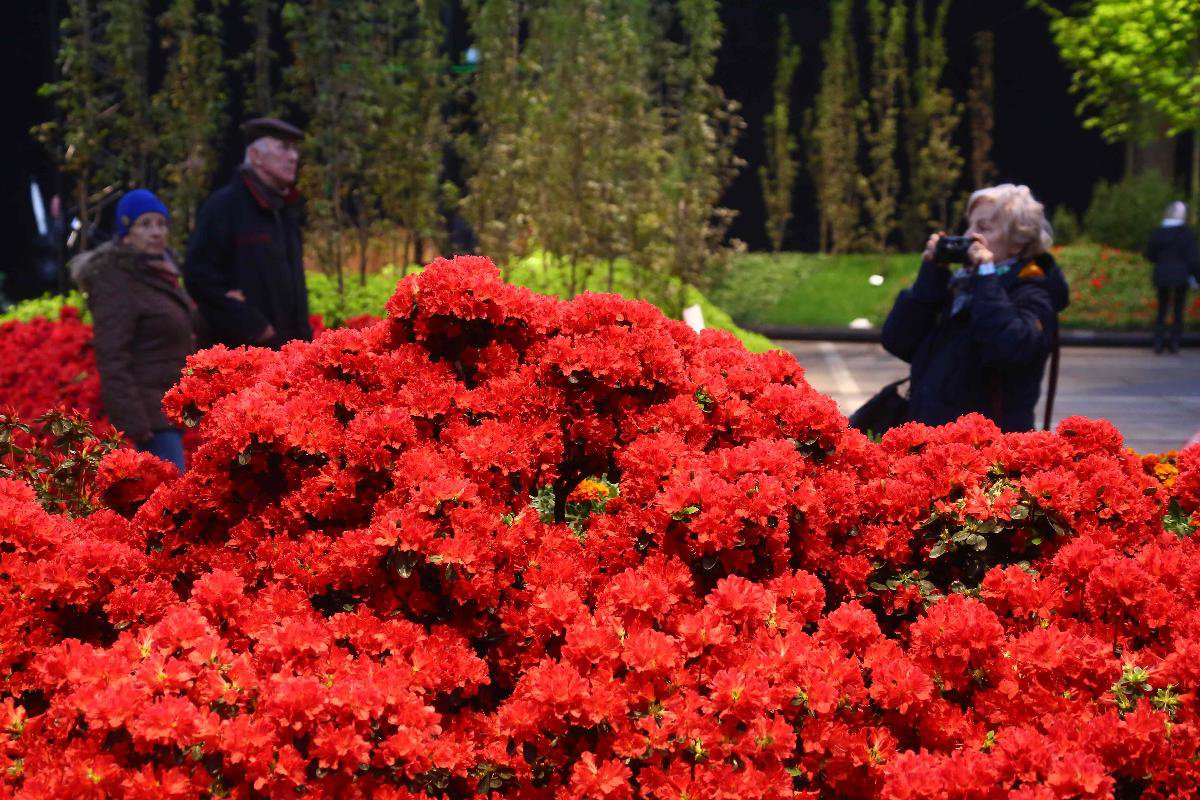 BelgiumGhentflower show_Xinhua Finance Agency