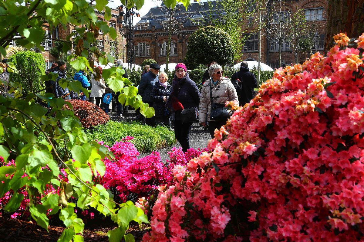 BelgiumGhentflower show_Xinhua Finance Agency