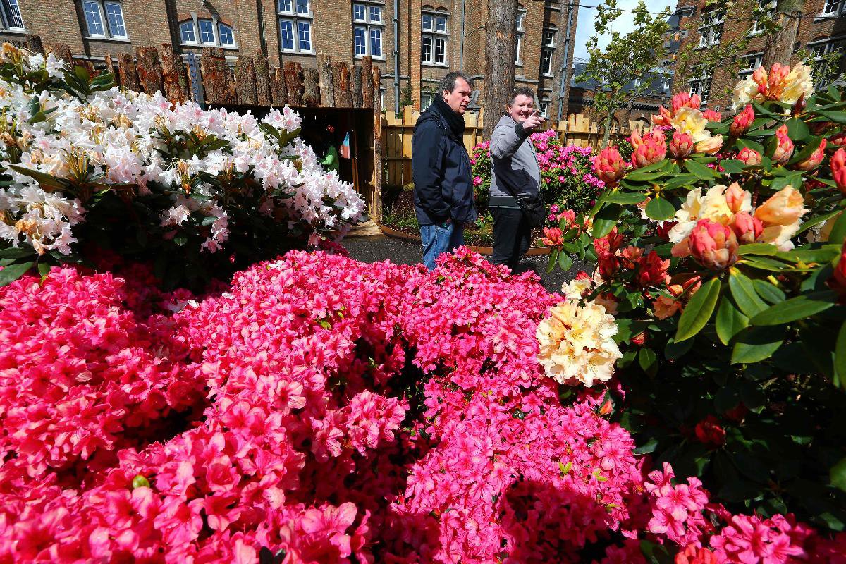 BelgiumGhentflower show_Xinhua Finance Agency
