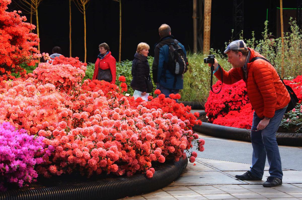 BelgiumGhentflower show_Xinhua Finance Agency