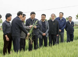 Xi urges intensified efforts to advance rural reform