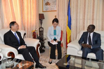 China encourages more Chinese enterprises to invest in Chad:state councilor