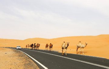 ＂Belt and Road＂ enhances China-Arab strategic cooperation: Chinese FM