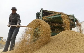 Farm produce prices continue downward trend
