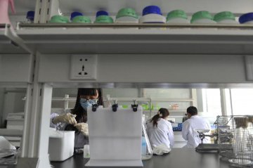 China to unveil 13th Five-Year Plan for bio-pharmaceutical industry in H2