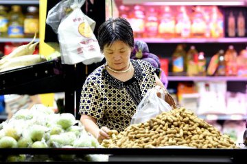 Economic Watch: Chinas economy stabilizes