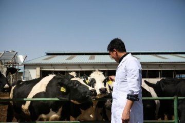 Consumer feeling mixed as China releases first dairy quality report