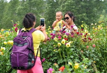 Chinese tourist numbers rise despite slowing economy