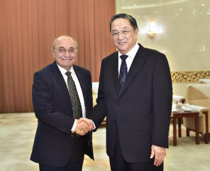 China, Armenia cooperate on Belt and Road Initiative: top political advisor