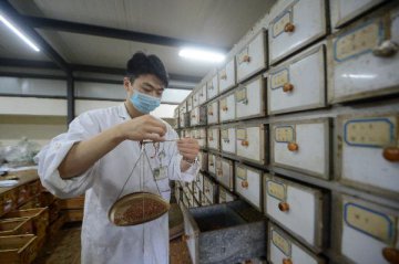 China issues first white paper on traditional Chinese medicine