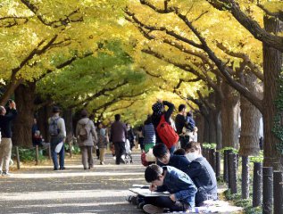 Japans Q3 GDP slashed as capex, inventories drive down growth