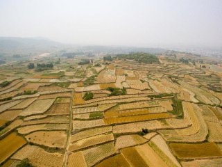 Chinas land of plenty faces acute land shortage
