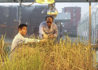 China to deepen reform in agricultural sector