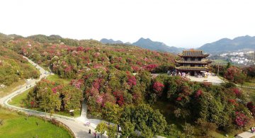 China Guizhou Bijie Scenery