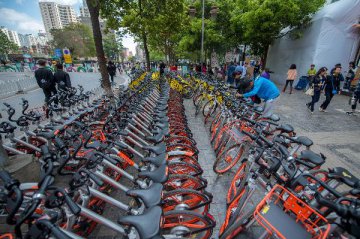 Chinas century-old bicyle brand to team up with Ofo