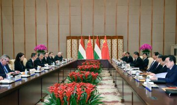 China, Hungary establish comprehensive strategic partnership