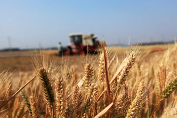 China to encourage private capital in agriculture development