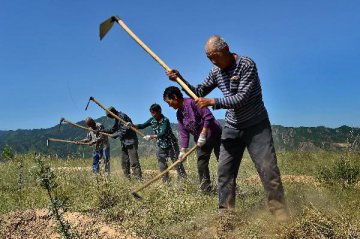 China extends tax breaks to encourage rural financing