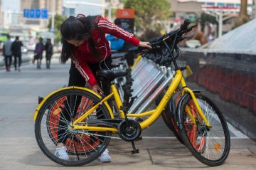 ofo raises 700 mln USD in sectors largest funding round